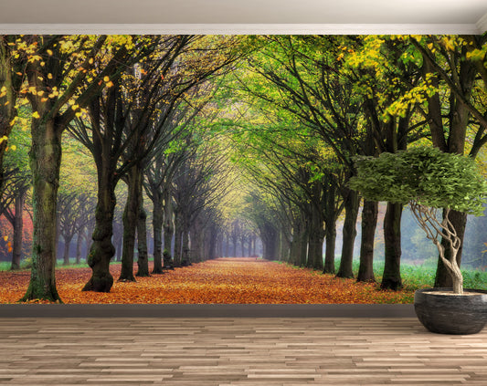 Living Room - Nature Forest 3D Landscape Wallpaper