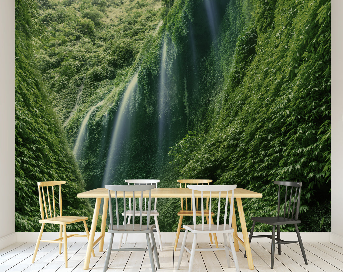 Dense Rain Forest Wallpaper