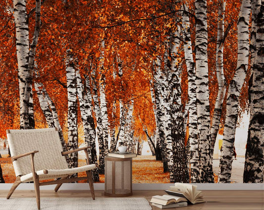 Living Room - Orange Forest Nature Wallpaper