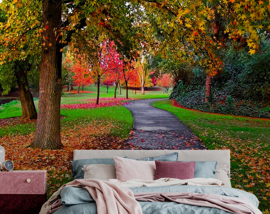 Summer Season Forest Road 3D Wallpaper