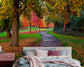 Summer Season Forest Road 3D Wallpaper