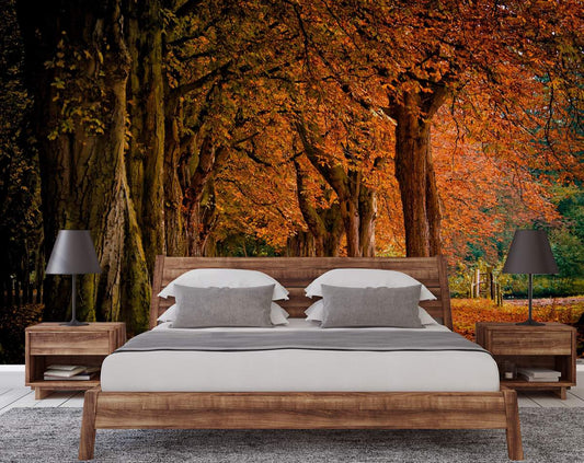 Forest 3D Wallpaper | Beautiful Nature Wallpaper | Nature Customized Wallpaper | Living room and Bedroom Wallpaper