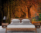 Bedroom - Forest 3D Nature Wallpaper