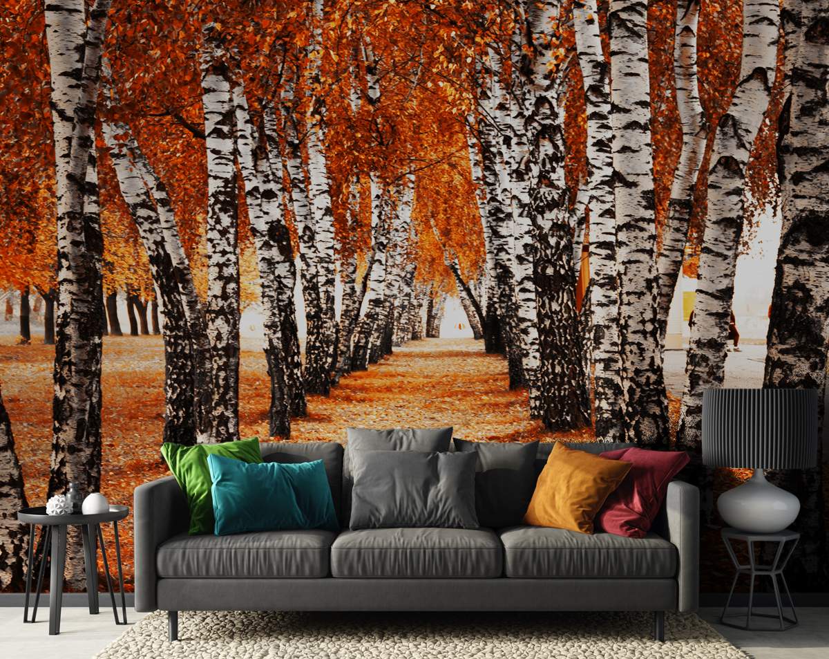 Orange Forest Nature Wallpaper