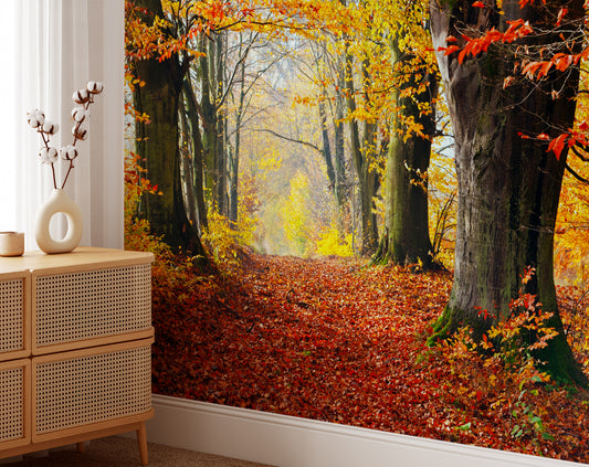 Forest Custom 3D Wallpaper