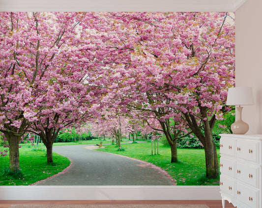 Pink Flowers Tree Forest Wallpaper