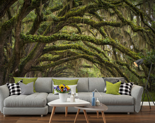 Nature Wallpaper Green Forest 3D Landscape