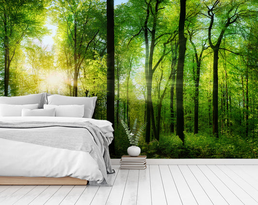 Nature Wallpaper, Trees, Forest, Landscape 3D Wallpaper